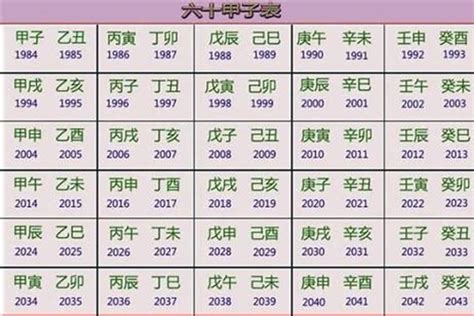 1991五行|1991年五行属什么？1991年出生是什么命？